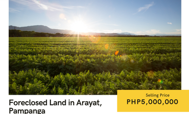 Foreclosed 2 hectare agri-lot in Arayat, Pampanga