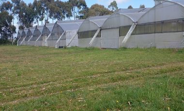 VENDO FINCA 36 HECTAREAS  CERCA DE LASSO