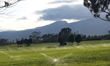 VENDO FINCA 36 HECTAREAS  CERCA DE LASSO