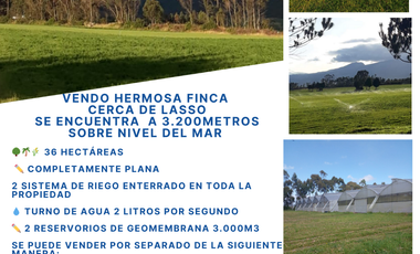 VENDO FINCA 36 HECTAREAS  CERCA DE LASSO