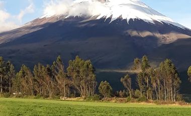 VENDO FINCA 36 HECTAREAS  CERCA DE LASSO