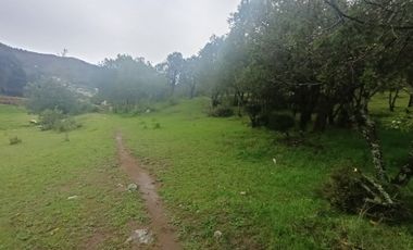 El Cedral  precioso terreno en venta