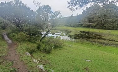 El Cedral  precioso terreno en venta