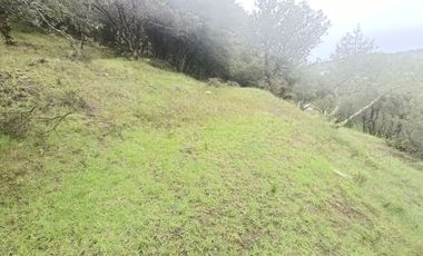 El Cedral  precioso terreno en venta