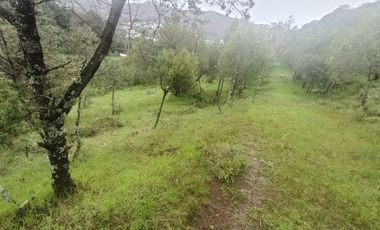 El Cedral  precioso terreno en venta
