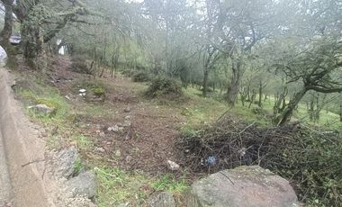 El Cedral  precioso terreno en venta