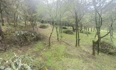 El Cedral  precioso terreno en venta