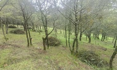 El Cedral  precioso terreno en venta