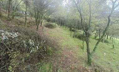 El Cedral  precioso terreno en venta