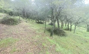 El Cedral  precioso terreno en venta