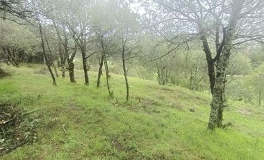 El Cedral  precioso terreno en venta