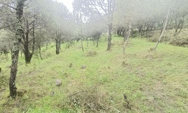 El Cedral  precioso terreno en venta