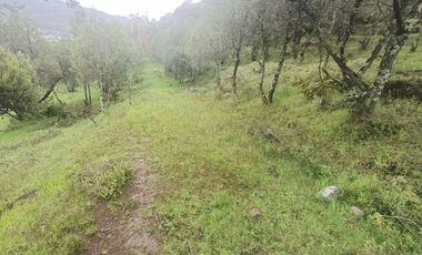 El Cedral  precioso terreno en venta