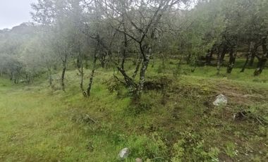 El Cedral  precioso terreno en venta
