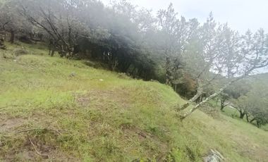 El Cedral  precioso terreno en venta