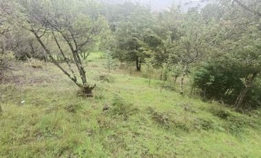 El Cedral  precioso terreno en venta