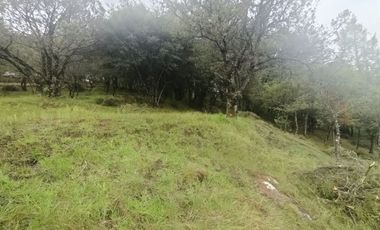 El Cedral  precioso terreno en venta