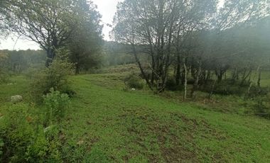 El Cedral  precioso terreno en venta