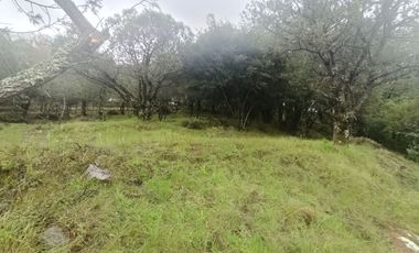 El Cedral  precioso terreno en venta