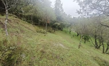 El Cedral  precioso terreno en venta