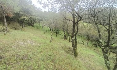 El Cedral  precioso terreno en venta