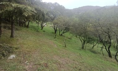 El Cedral  precioso terreno en venta