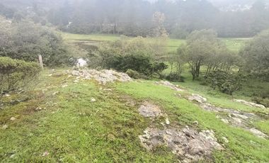 El Cedral  precioso terreno en venta
