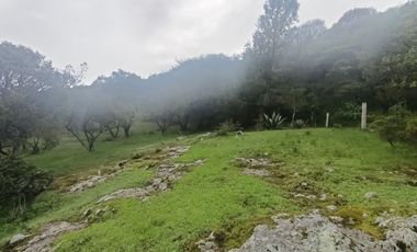 El Cedral  precioso terreno en venta
