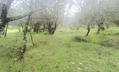 El Cedral  precioso terreno en venta