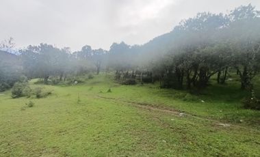 El Cedral  precioso terreno en venta