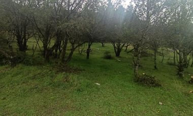 El Cedral  precioso terreno en venta