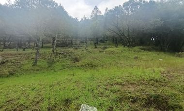 El Cedral  precioso terreno en venta
