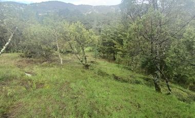 El Cedral  precioso terreno en venta