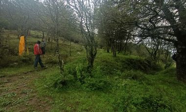El Cedral  precioso terreno en venta