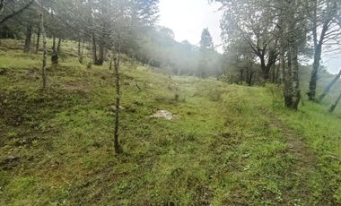 El Cedral  precioso terreno en venta