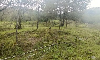 El Cedral  precioso terreno en venta