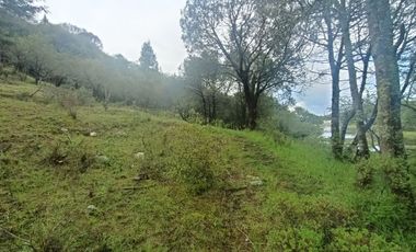 El Cedral  precioso terreno en venta