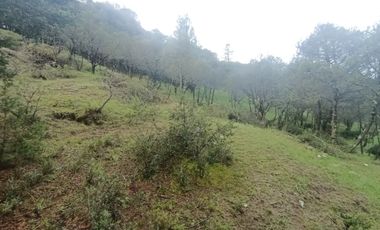 El Cedral  precioso terreno en venta