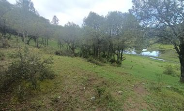 El Cedral  precioso terreno en venta
