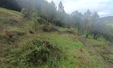 El Cedral  precioso terreno en venta
