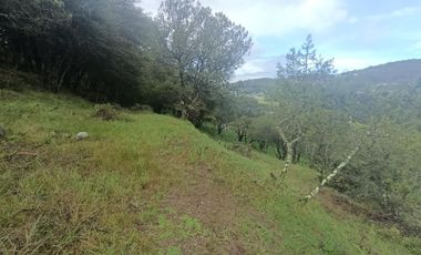 El Cedral  precioso terreno en venta