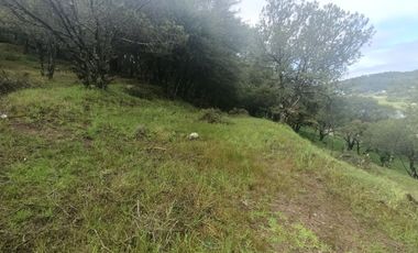 El Cedral  precioso terreno en venta