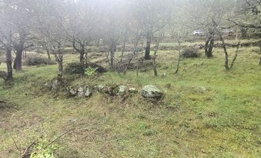 El Cedral  precioso terreno en venta