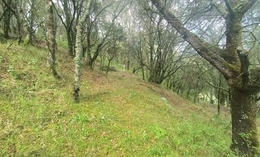 El Cedral  precioso terreno en venta