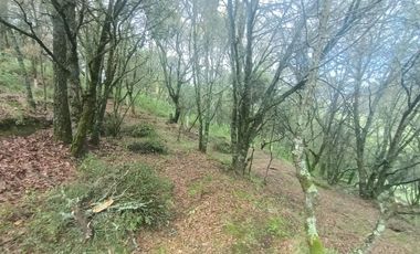 El Cedral  precioso terreno en venta