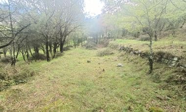 El Cedral  precioso terreno en venta