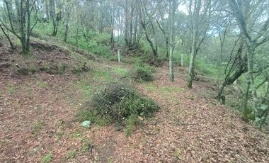 El Cedral  precioso terreno en venta