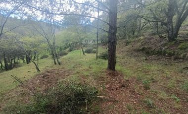 El Cedral  precioso terreno en venta