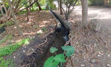 Hermosa casa en condominio ecológico (JIUTEPEC)