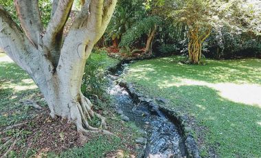 Hermosa casa en condominio ecológico (JIUTEPEC)